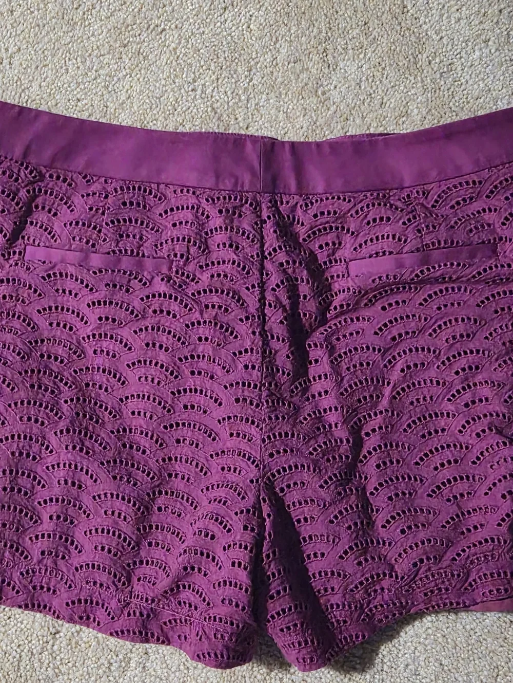 Calvin Klein Purple Scalloped Eyelet Lace Shorts Magenta Size 12